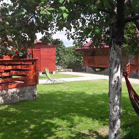 Вилла Casa Anamaria Турда Экстерьер фото