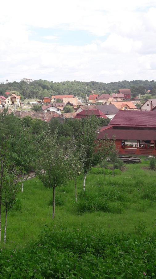 Вилла Casa Anamaria Турда Экстерьер фото